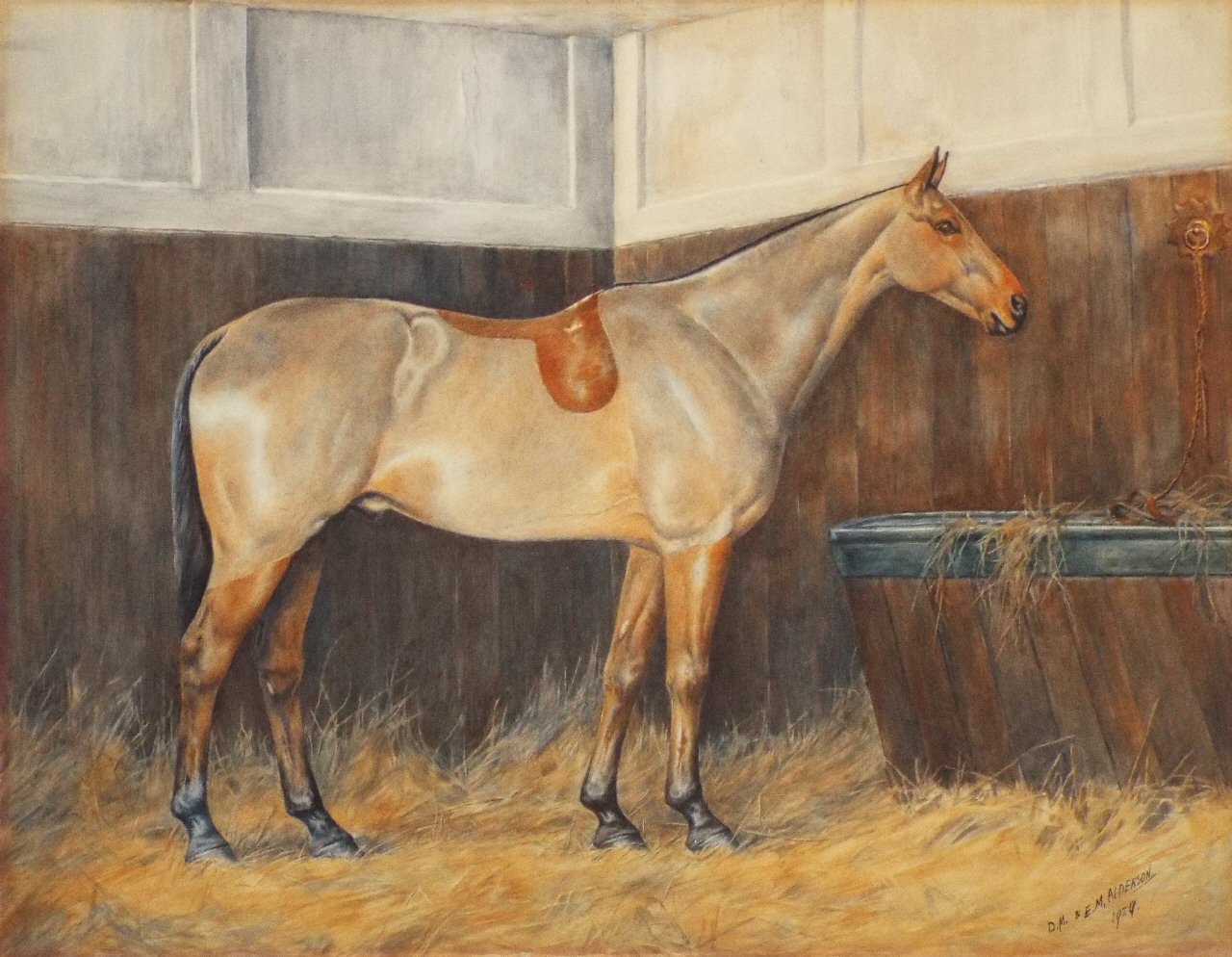 Watercolour - (Racehorse)